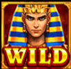 Pharaoh Treasure Wild