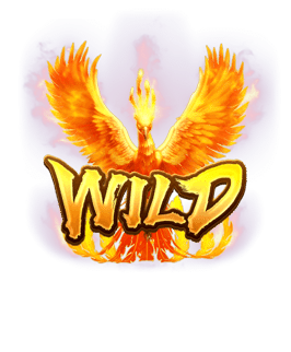 phoenix rises wild